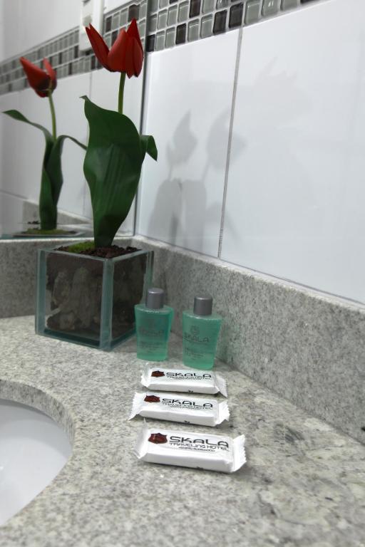 Skala Traveling Hotel Cuiabá Extérieur photo